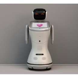 Robot interativo de atendimento ELF